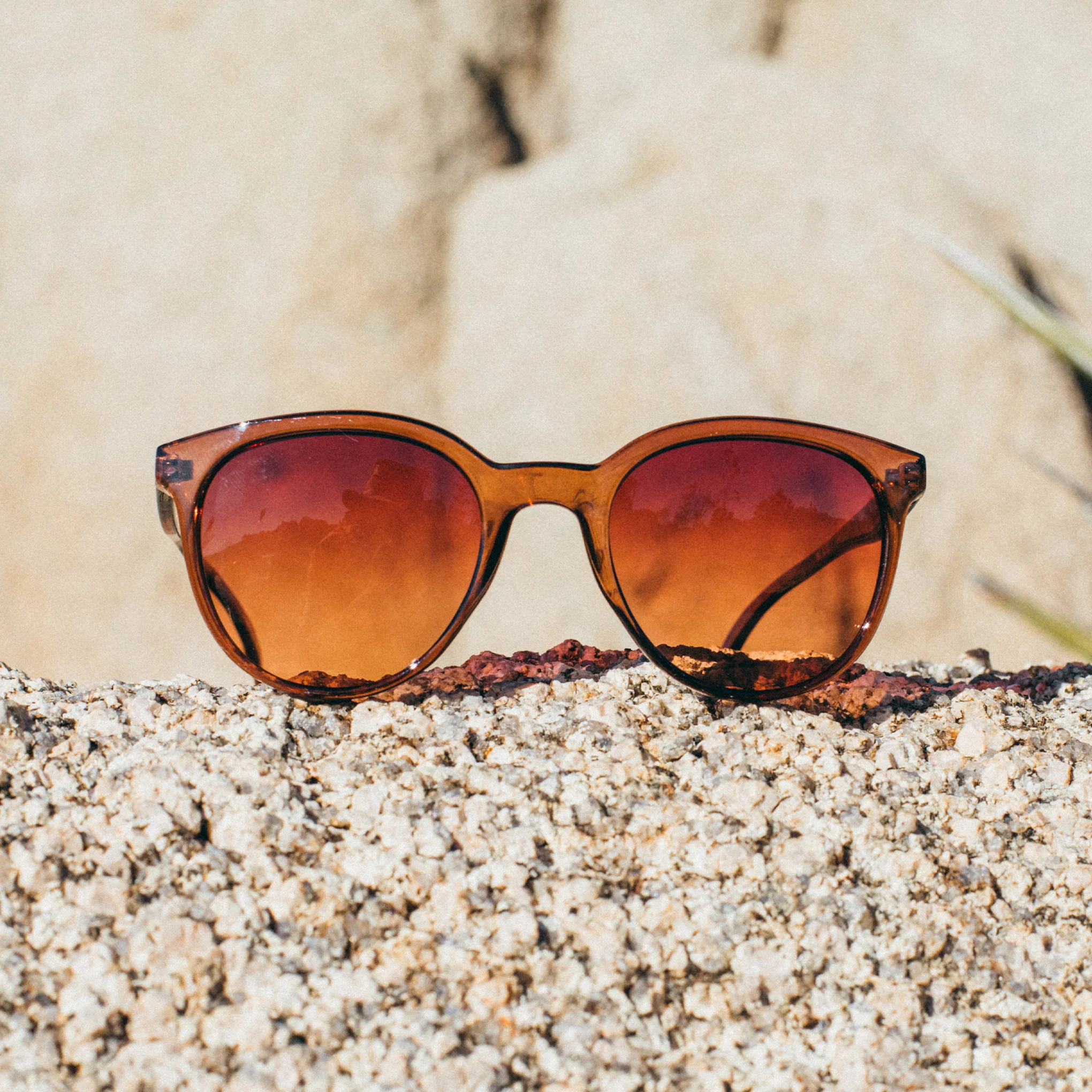 Makani - Image 15