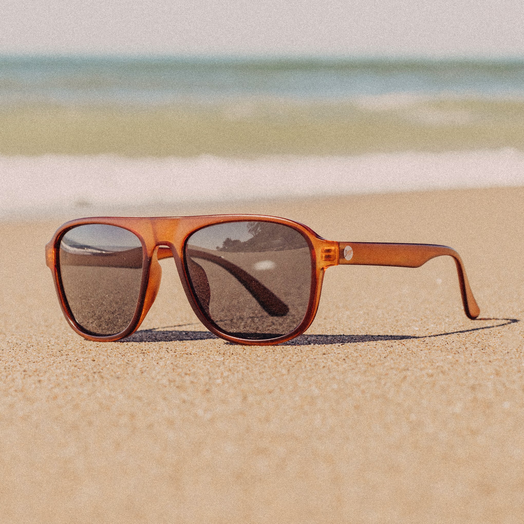 Shoreline - Image 10